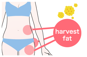 harvest fat